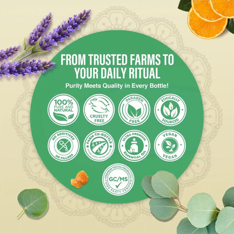 Four Essential Classics Set- Frankincense, Lavender, Eucalyptus, & Orange 4 x 15mL